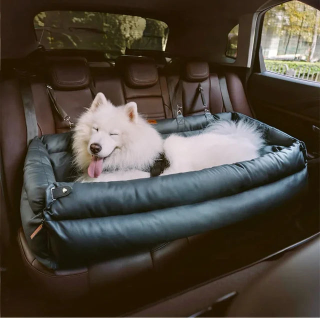 Bienestar de tu canino